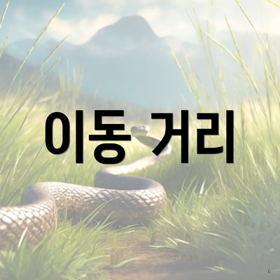 이동 거리