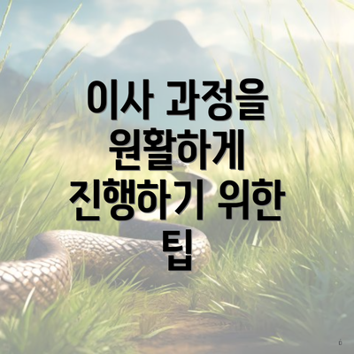 이사 과정을 원활하게 진행하기 위한 팁