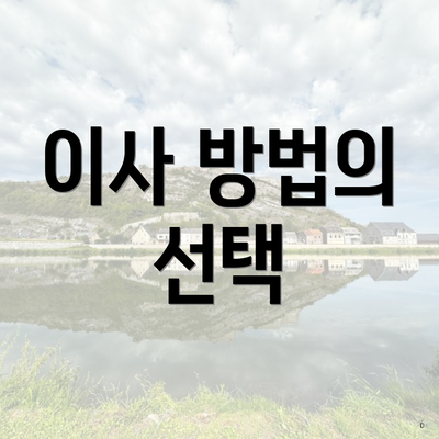 이사 방법의 선택