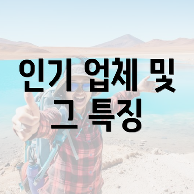 인기 업체 및 그 특징