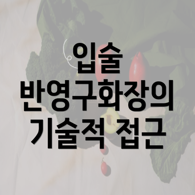 입술 반영구화장의 기술적 접근