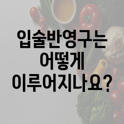 입술반영구는 어떻게 이루어지나요?