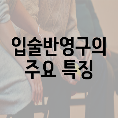 입술반영구의 주요 특징