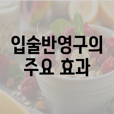 입술반영구의 주요 효과