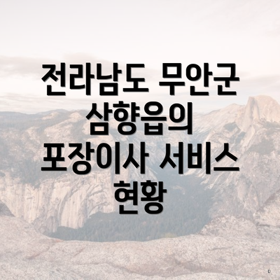 전라남도 무안군 삼향읍의 포장이사 서비스 현황