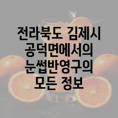 전라북도 김제시 공덕면에서의 눈썹반영구의 모든 정보