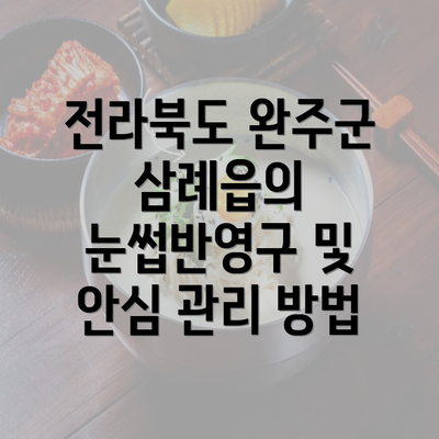 전라북도 완주군 삼례읍의 눈썹반영구 및 안심 관리 방법