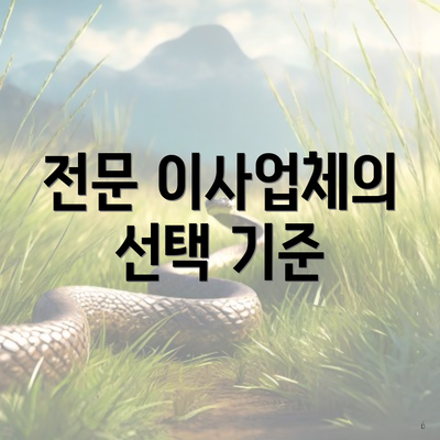 전문 이사업체의 선택 기준