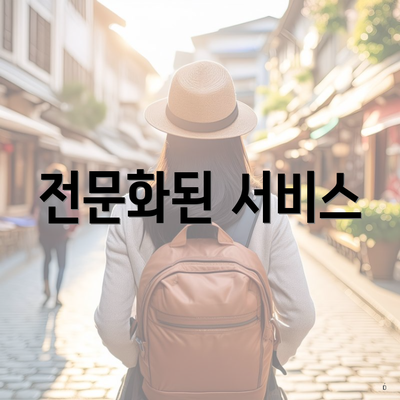 전문화된 서비스