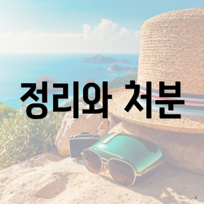 정리와 처분