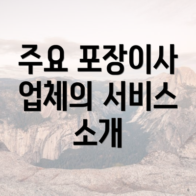 주요 포장이사 업체의 서비스 소개