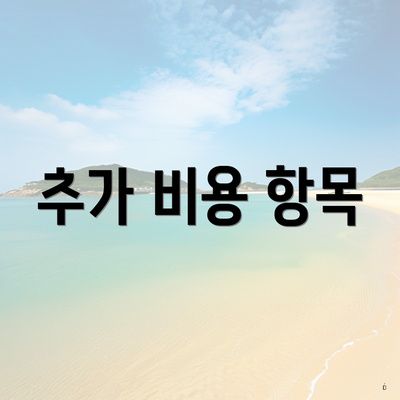 추가 비용 항목