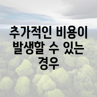 추가적인 비용이 발생할 수 있는 경우