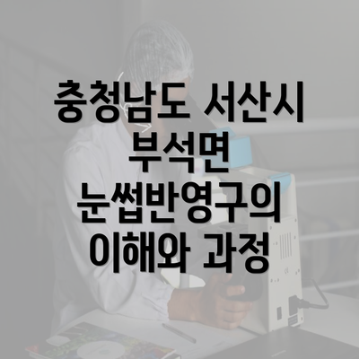 충청남도 서산시 부석면 눈썹반영구의 이해와 과정