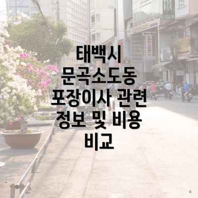 태백시 문곡소도동 포장이사 관련 정보 및 비용 비교