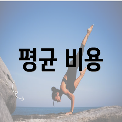 평균 비용