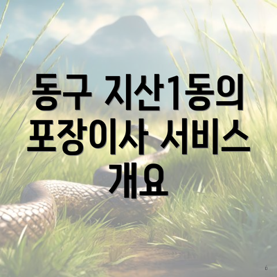 동구 지산1동의 포장이사 서비스 개요