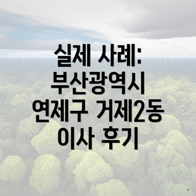 실제 사례: 부산광역시 연제구 거제2동 이사 후기