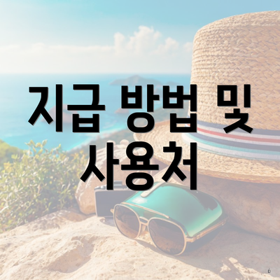 지급 방법 및 사용처