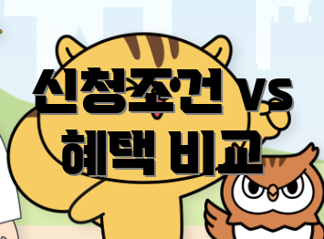 신청조건 vs 혜택 비교