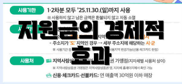 지원금의 경제적 효과