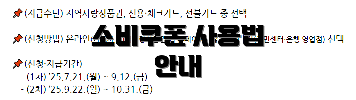 소비쿠폰 사용법 안내