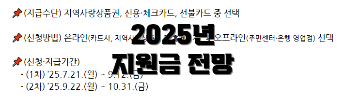 2025년 지원금 전망
