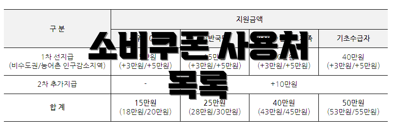 소비쿠폰 사용처 목록