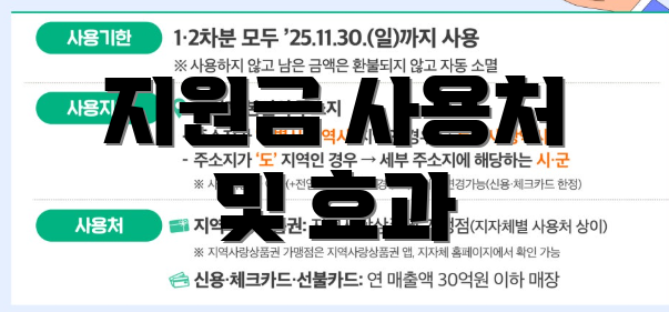 지원금 사용처 및 효과