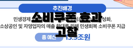 소비쿠폰 효과 고찰