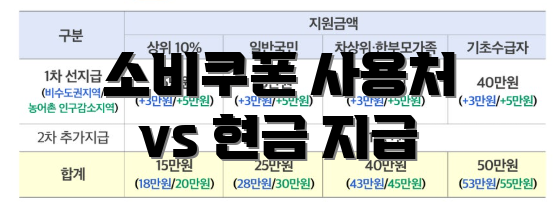 소비쿠폰 사용처 vs 현금 지급