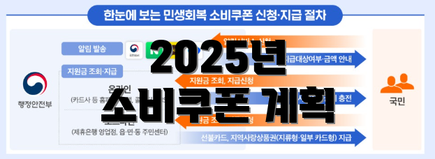 2025년 소비쿠폰 계획