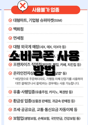 소비쿠폰 사용 방법