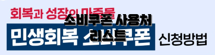 소비쿠폰 사용처 리스트