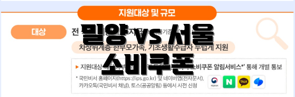 밀양 vs 서울 소비쿠폰